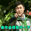我们的法则 小沈阳 逗比 谁的作业借我一下