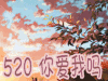 爱情 520 你爱我吗 告白 表白 表白日
