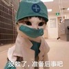 萌宠 猫星人 没救了 准备后事吧 呆萌 可爱