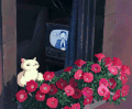 猫咪 花朵 看电视