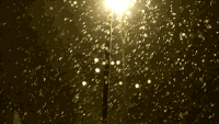 夜晚 灯光 雪花 路灯