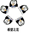 暴漫 文字表情包 希望之花 搞笑 沙雕 魔性
