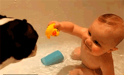 宝宝 汪星人 萌娃 洗澡 一起洗澡 鸭子 玩耍