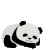 熊猫 睡着了 趴着 可爱