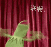 来呀 红色 摇晃 搞笑