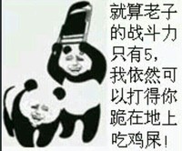 熊猫 打斗 武器 就算战斗力只有5我依然可以打得你跪在地上吃鸡屎