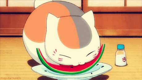 猫咪 吃西瓜 甜甜的 可爱