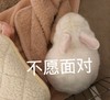 萌宠 兔子 不愿面对 不想看 呆萌 可爱