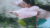 哦，我的皇帝陛下 赵露思 洛菲菲 soogif soogif出品 我的皇帝陛下