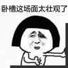 卧槽 这场面 太壮观了 恶搞
