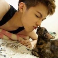 非主流文字版情侣个性头像 男孩 猫咪 亲吻