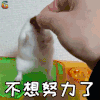 萌宠 仓鼠 伤心 不想 努力 soogif soogif出品