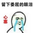 金馆长 留下委屈的眼泪 逗比 搞笑