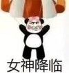 熊猫头 文字表情包 女神降临 搞笑 魔性 逗趣