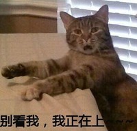 猫咪 喵星人 别看我我正在上 斗图 搞笑