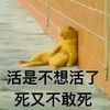 猫咪 喵星人 活是不想活了 死又不敢死 斗图 搞笑 生无可恋