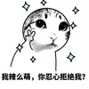 猫咪 手势 我辣么萌 你忍心拒绝我