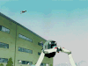 插画 动漫 gif