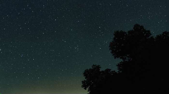 天空 星星 夜晚 树木