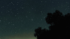 天空 星星 夜晚 树木