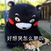 熊本熊 好想哭怎么肥四 狗狗 抚摸