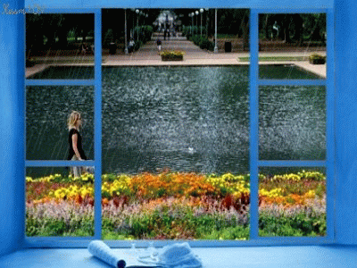 窗台 书本 意境 细雨 湖面 鲜花