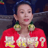 演员的诞生 章子怡 是我吗 蒙圈 懵 soogif soogif出品