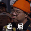 中国新说唱 搞笑 文字动态图 委屈 功夫胖