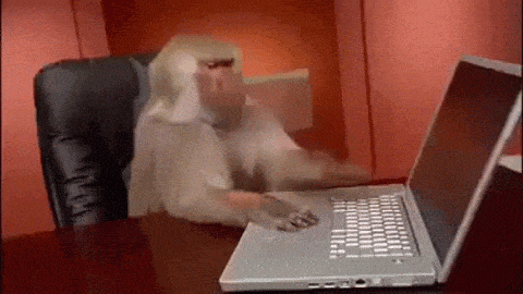 猩猩 电脑 敲键盘 捂眼睛
