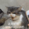 萌宠 可爱 逗 猫星人 搞笑 表情包