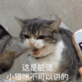 萌宠 可爱 逗 猫星人 搞笑 表情包