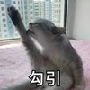 萌宠 猫星人 勾引 诱惑 呆萌 可爱