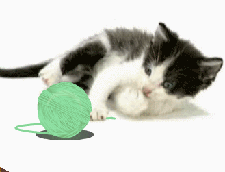 萌宠 猫 可爱 玩耍 毛线球