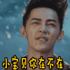 小宝贝你在不在 汪东城 镇魂街 撩 约 搞怪 电视剧 soogif soogif出品