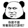 金管长 熊猫头 你是不是 背着我 在打游戏