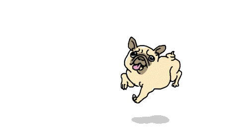 狗狗 高兴 奔跑 蹦跳