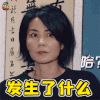 幻乐之城 王菲 蒙圈 发生了什么 soogif soogif出品