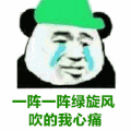 金馆长 熊猫人 绿帽子 一阵一阵绿旋风吹的我心痛