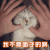 soogif soogif出品 猫 我不要面子的啊