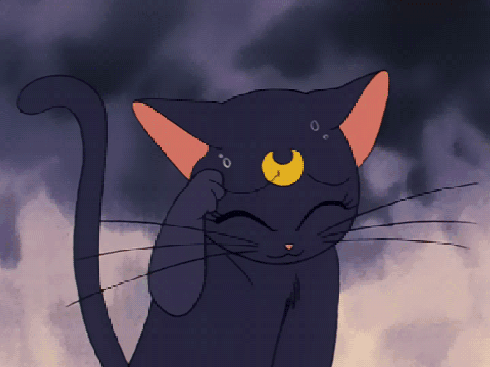 动画 卡通 黑色的猫咪 尴尬