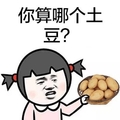 金馆长 你算哪个土豆 怼人 蔬菜