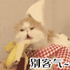 别客气 吃香蕉 猫咪 呆萌