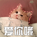 猫 萌宠 喵星人 爱你哦 撩 soogif soogif出品