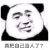 暴漫 熊猫头 真把自己当人了 可爱 搞笑 逗