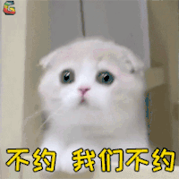 猫咪 猫 萌宠 拒绝 不约 我们不约 soogif soogif出品