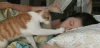 萌宠 猪 可爱 萌