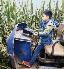 农田 收玉米 开车 搞笑