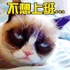 萌宠 猫 猫咪 喵星人 不想上班 拒绝 soogif soogif出品