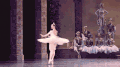 芭蕾,  芭蕾舞女演员, 优雅,  以脚尖站立