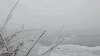 树枝 白雪 美景 安静
